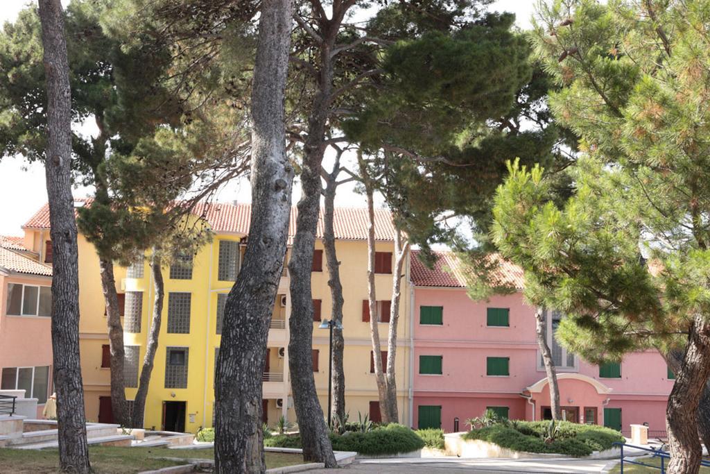 Apartment Punta *